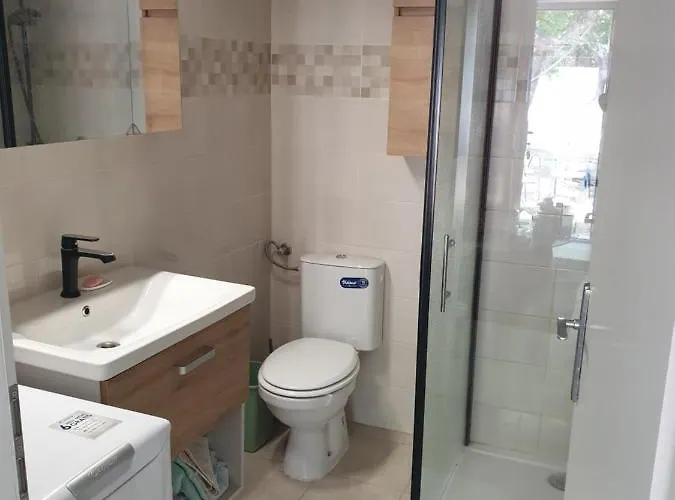 Paradiso مورتير