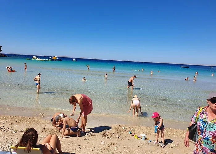 Paradiso * مورتير