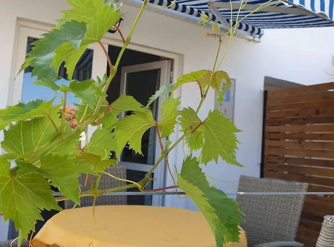 Paradiso Appartement